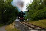 Werrabahn 52 1360-8 am 06.06.22 im Kelkheimer Wald mit einen Sonderzug zu Dampf in dem Taunus