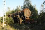 Der Torso von 52 8042 am 16.09.2012 im Bw Falkenberg Oberer Bahnhof, nach unserem kleinem Freischnitt.