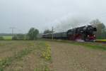 52 8131 mit ein Sonderzug aus Berlin passiert bei Priestewitz auf der Laufweg nach Dresden.