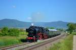 Im Rahmen des Dampfspektakels konnte am 31.05.2014 bei strahlender Sonne und vor der herrlichen Kulisse des Pfälzerwaldes 52 8134 mit ihrem DPE 80332 (RN - RLA) in den Feldern vor Edesheim auf