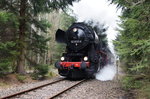 51 8131-6, 25.03.2016, Zellwald; Osterfahrten Nossen - Freiberg, hier im Zellwald vor Großvoigtsberg