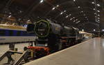 52 5448-7 des EMBB e.V. - Verein Eisenbahnmuseum Bayerischer Bahnhof zu Leipzig e.V. im Leipzig Hauptbahnhof - Museumsgleis 03.12.2019