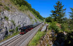 52 8195 mit einem Sonderzug am 10.06.2023 bei Etterzhausen.