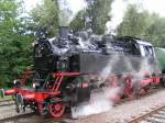 Am 06.09.2007 erreicht 64 419 den Bahnhof Riegel-DB, um in den folgenden Wochen den Rebenbummler zu ziehen.