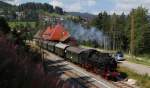 64 419 mit dem DPE 20385 (Seebrugg-Titisee) in Brental 11.8.12