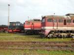 Am 28.09.2012 im Eisenbahn und Technikmuseum Schwerin Loks der BR 64 , 132 und 120