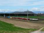 VHE / Verein Pendelzug Mirage - Nachschuss vom Whisky Train mit der 64 518 mit 9 Personenwagen sowie am Schluss der Triebwagen BDe 4/4 82 bei Kerzers am 13.04.2013