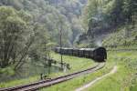 Lok 64 491 der Dampfbahn Fränkische Schweiz(DFS) hat gleich den Endbahnhof Behringersmühle erreicht.