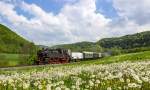 64 491 mit einem Personenzug nach Ebermannstadt bei Haag (01.05.2014). Ups, das ist ja schon mein 200. Bild hier ;-)