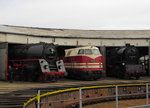 DB Museum 01 1531-1 + 118 005-8 + LEG 65 1049 am 27.03.2016 beim Osterfest im Eisenbahnmuseum Arnstadt.