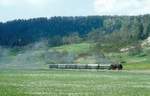 80 106  bei Sulzbach  01.05.87