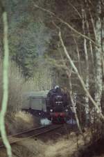 134 (Plandampf im Thüringer Wald Rennsteig & Lobenstein 18.- 21. März 1993 ) 86 1001-6 mit N 15233 Triptis Lobenstein