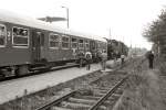 Sonderzug aus langen Halberstdtern und 2*BR86 in Lohmen vor der Abfahrt nach Pirna, 1988