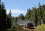 86 333 mit dem DPE ***** (Titisee-Seebrugg) bei Bärental 29.8.15