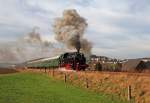 Mein 1000stes und letztes BahnBild widme ich 86 1333-3, die (Dank der Preßnitztalbahn)nun wieder dort unterwegs ist wo sie hingehört  in unnerm Arzgebirg .