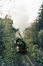 094 639 mit Pz  Einschnitt im Wald   v.Brücke