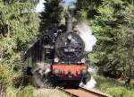 Durch herrlichen Nadelwald geht die Fahrt zum Rennsteig mit der Steilstreckenlok 94 1292, Aufnahme Sommer 1995