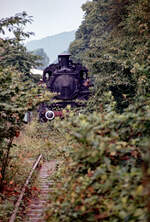 
Ziemlich versteckt steht 97 501 am 21.03.1983 im Bahnhof Obernzell an der Donau am Ende der ursprünglich bis Wegscheid weiterführenden - zum Teil mit Zahnstange - Stecke.