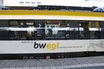 bwegt Werbung an einen Abellio Hamster ET 442 am 21.12.19 in Heidelberg