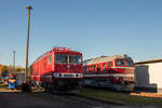 Am 15. Oktober 2017 zum Eisenbahnfest im Bw-Weimar fotogerecht aufgstellt: DR 250 250-8 und die Trommel DR 120 198-7. 