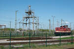 Einzug hielt 201 068 am BW Pasewalk durch die ansässige BUG. Links im Bild die erhalten gebliebene Besandungsanlage und hinter der Lokomotive die alten Gleisausleuchtungen. 27.04.2024