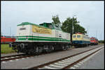 95 Jahre DB Werk Dessau: Leipziger Dampf KulTour V100 003, 110 169 & 155 236-3 am 31.08.2024. 