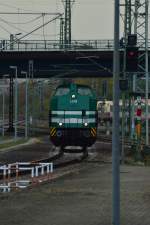 Aus Richtung Mannheim kommend ist hier die LDS 203 127-9 bei der Einfahrt in Gleis 10 des Heidelberger Hbf. 2.11.2014