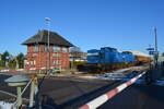 204 012 und 013 rangieren die vollen und leeren Holzwagen in Torgelow zur weiteren Beladung hin und her. 