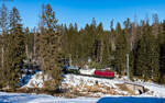 V100 1019 mit dem DPE 74231 (Titisee - Seebrugg) bei Altglashütten 31.12.24