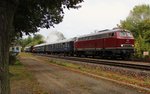 216 224-6 (IGE) mit DPE 62064 als Überführung einer schwedischen Dampflok B 1135 am 03.10.16 von Rostock Seehafen nach Augsburg.