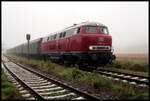 Nach dem Zusteige Halt des Teutoexpress am 29.09.2024 im Bahnhof Lienen, setzte sich der historische Zug mit V 160002 als Zuglok wieder in Bewegung. Die Lok war an diesem Tag Aushilfe für die noch in Aufarbeitung befindliche Dampflok 78468. An Stelle der Dampflok zog daher an diesem Tag die Lollo den Traditionszug zwischen Lengerich und Bad Laer. Bei der ersten Tour herrschte teilweise noch dichter Nebel, der hier den im Hintergrund liegenden Teutoburer Wald gänzlich verschwinden läßt. 