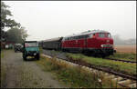 Zusteige Halt des Teutoexpress am 29.09.2024 um 10.34 Uhr im Bahnhof Lienen. Als Aushilfe für die noch nicht der Aufarbeitung befindlichen Dampflok 78468 war an diesem Tag die Vorserien Diesellok Lollo V 160002 vor dem Teutoexpress im Einsatz. An diesem Tag standen bei Eisenbahn Tradition Pendelfahrten zwischen Lengerich und Bad Laer auf dem Programm. Bei der ersten Tour herrschte teilweise noch dichter Nebel. Aber auch der hat so seinen Reiz, wie ich meine. In Lienen waren passend zur Zuggarnitur ein paar alte landwirtschaftliche Fahrzeuge geparkt. 