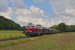 V 160 002 mit dem Teuto-Express kurz vor Westerkappeln (20.05.2024)