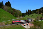 Dieses Jahr werden die EC Züge zwischen München und Zürich komplett über die KBS 970 geführt.
