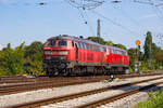 218 435-6 mit ihrer Schwester beim Umsetzen auf dem Bahndamm Lindau. 17.8.18