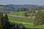 Zwei 218 sind als EuroCity unterwegs bei Oberthalhofen (Stiefenhofen).

🧰 DB Fernverkehr/ÖBB/SBB
🚝 EC 195 (Linie 88) Zürich HB (CH)–München Hbf (D) [+15]
🚩 Bahnstrecke München–Lindau (Allgäubahn (Bayern) | KBS 970)
🕓 19.9.2020 | 15:55 Uhr