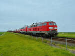 Der von den Diesellokomotiven 218 307-7 und 218 321-8 gezogene SyltShuttle-Zug hat gerade das Festland erreicht. (Friedrich-Wilhelm-Lübke-Koog, Juni 2024)