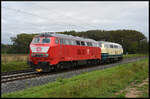 DB 218 446 & 406 sind am 03.10.2024 auf dem Weg von Kempten nach Niebüll, hier bei Retzbach im Maintal.