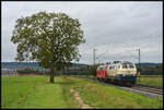 DB 218 446 & 406 sind am 03.10.2024 auf dem Weg von Kempten nach Niebüll, hier am  Fotobaum  bei Retzbach im Maintal.