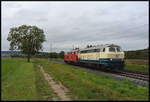 DB 218 446 & 406 sind am 03.10.2024 auf dem Weg von Kempten nach Niebüll, hier am  Fotobaum  bei Retzbach im Maintal.