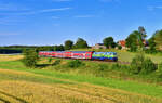 218 443 mit einem RE2 am 15.07.2024 bei Escheldorf.