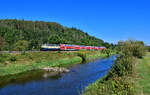 218 446 mit einem RE2 am 08.09.2024 bei Nabburg.