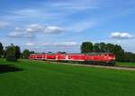 218 443 zieht ihren IRE 4211 (Ulm Hbf-Lindau Hbf) durch die fotografisch wunderbar gelegene Kurve bei Otterswang und erreicht bald den Bahnhof Aulendorf.