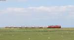 218 376-2 und 218 345-2 mit dem IC 2193 (Westerland(Sylt)-Göttingen) bei Klanxbüll 29.5.14