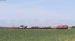 218 342-4 und 218 385-3 mit dem AS 1433 (Westerland(Sylt)-Niebüll) bei Klanxbüll 30.5.14