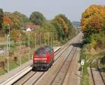 218 496-8 fährt in Ulm Donautal in Richtung Erbach(Württ). 03.10.2015