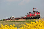 218 389-5 fährt mit einer Schwesterlokomotive mit dem Sylt Shuttlezug bei Niebüll vorbei.Bild vom 24.5.2016