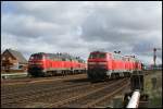 Gleich 4 218er gab es am 05.04.2008 in Westerland zu sehen, als sich zwei von DB Regio Nord angemietete  Fernverkehrs-218er  mit zwei der gleichen Gattung von DB AutoZug Sylt-Shuttle trafen.