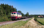 218 105 mit dem DGV 91660 (Rottweil - Villingen) bei Zollhaus 11.8.23