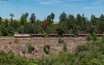 218 105 mit dem DGV 83836 (Horb - Villingen) bei Marbach 9.7.24